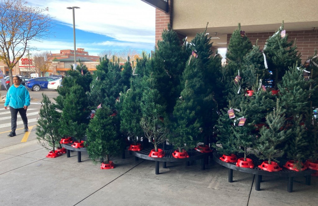 Expect To Pay More For Christmas Trees, Experts Say
