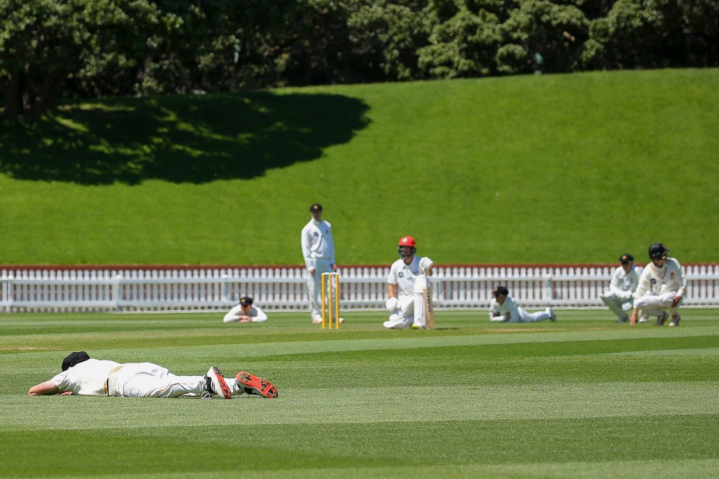 New Zealand Cricket Match Suspended As Pitch Invaded By Bees