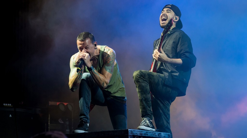 How Other Musicians Have Handled Overcrowding And Safety Concerns At Shows