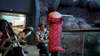 Watch Now: Couple Gets Engaged At Australian Aquarium With Help Of Seal