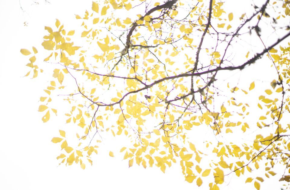 Daylight Saving Time: How To Handle Your Sleep When The Clocks Change