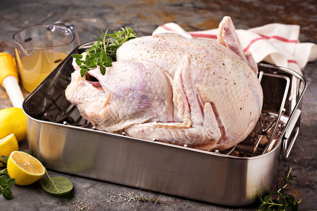New To Turkey? Here Are 10 Tips For The Best Bird