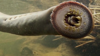 Watch Now: Blood Sucking Eel With Rows Of Teeth Spotted After 20 Year Hunt