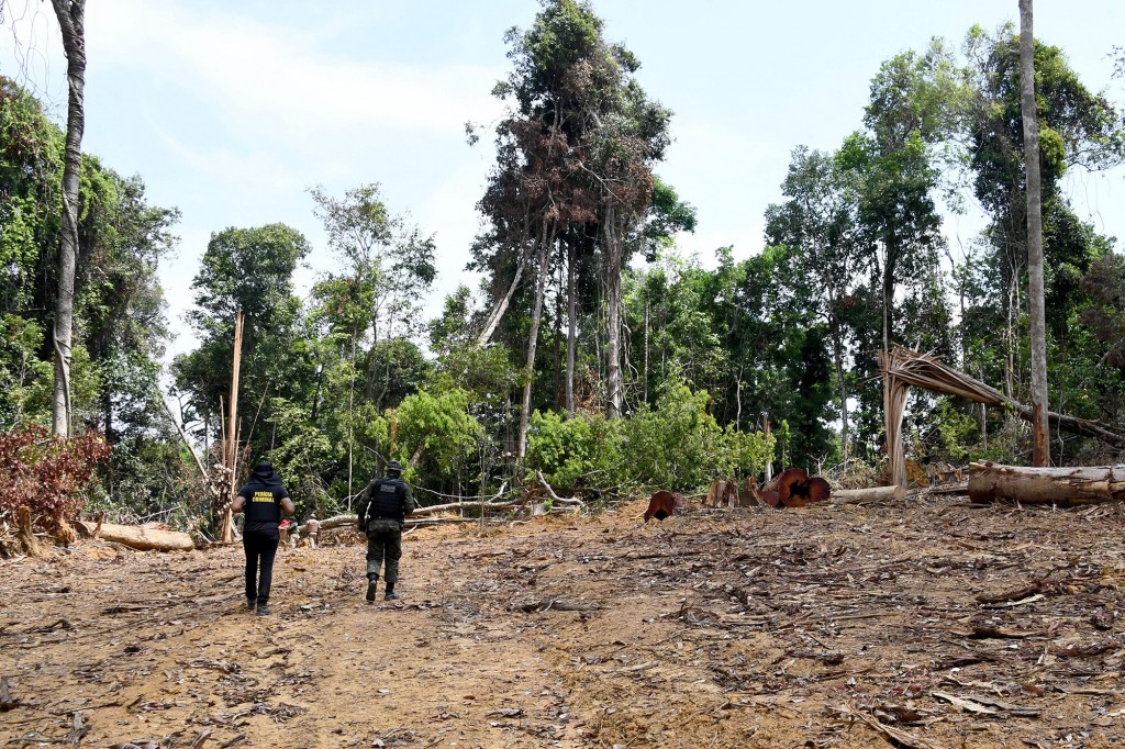 Deforestation In The Amazon Increased By 33% In First 10 Months Of 2021, Analysis Shows