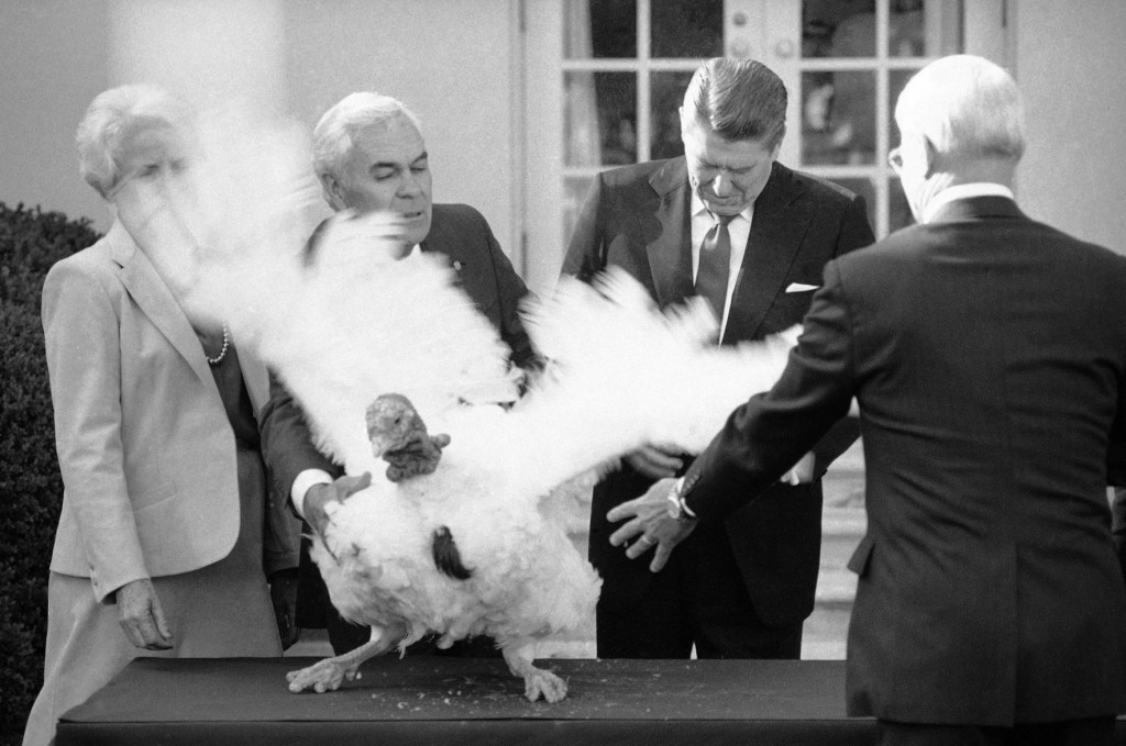 A Brief History Of The Presidential Turkey Pardon