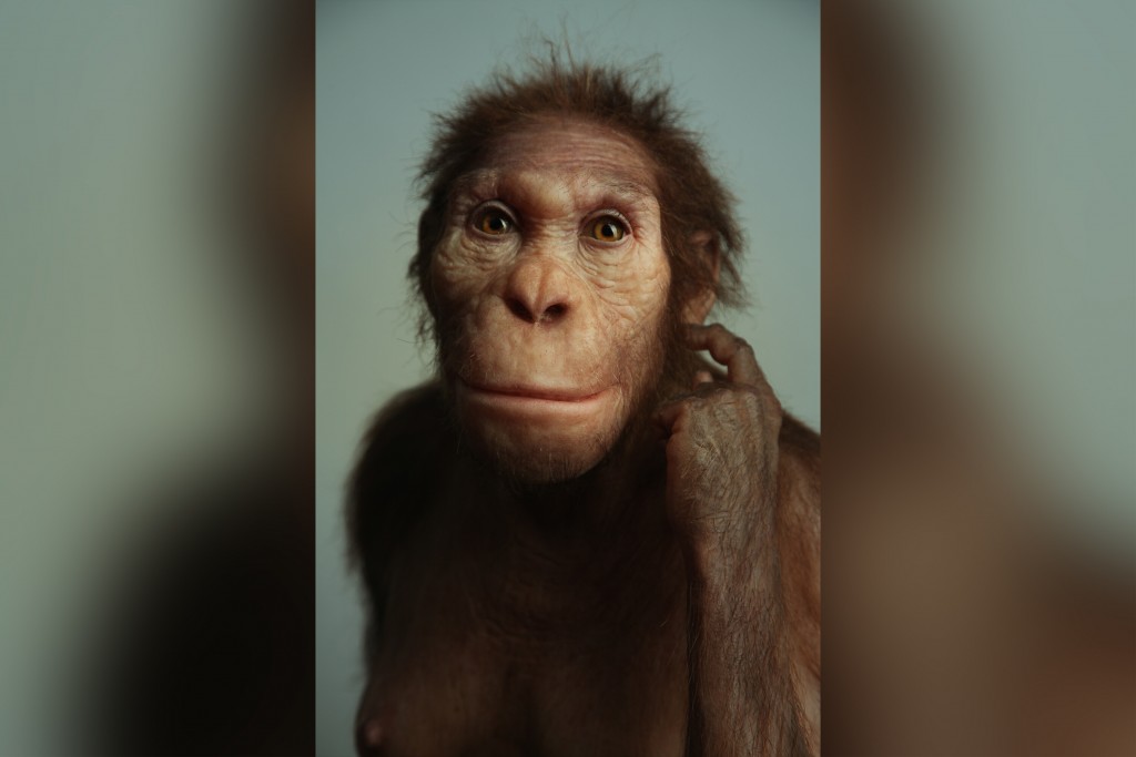 Ancient Human Relative Walked Like A Human But Climbed Like An Ape, New Fossils Suggest