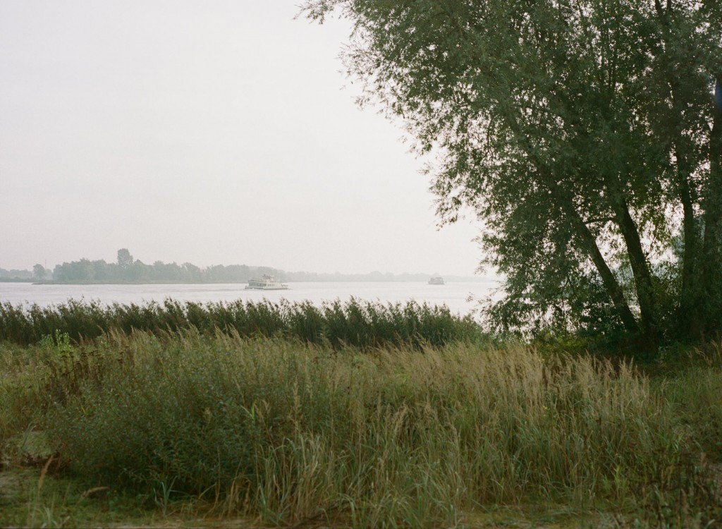 The Dutch Are Masters At Taming Water. Climate Change Is Teaching Them To Just Let It Flood