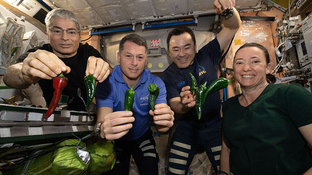 No Toilet For Returning Spacex Crew, Who Are Stuck Using Diapers