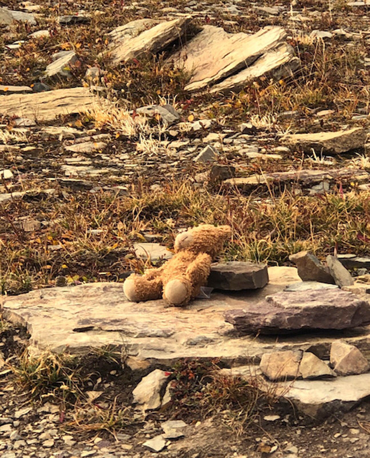 <p>In this photo provided by Nona Windham, Naomi Pascal's teddy bear sits on a rock near the Hidden Lake Trail in Glacier National Park, Mont., on Oct. 9, 2020. Windham, of Michigan, took a picture of the teddy bear as a joke, because it was the only bear she saw in the park that day. Earlier this year, Windham saw a post about the lost teddy bear on a Glacier park Facebook page, knew it had to be the same one and responded with the picture she had taken the day it was lost. "So happy the little girl got him back," Windham said. </p>