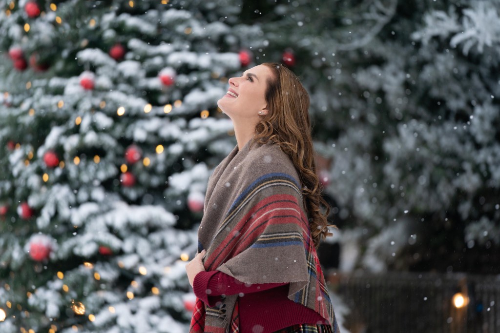 Gingerbread, Ice Wine, Kittens And Castles, 10 Holiday Movies To Get Excited About