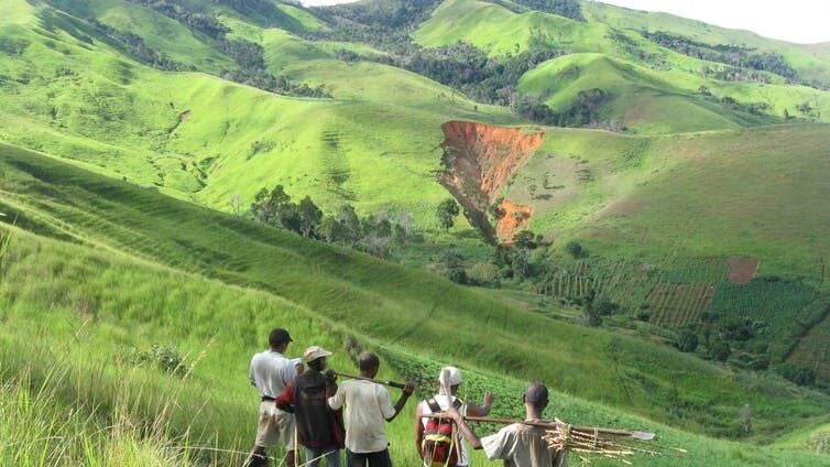 Why Cop26 Agreement Will Struggle To Reverse Global Forest Loss By 2030