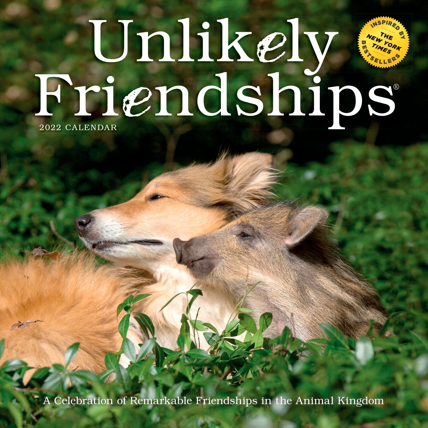 <p>This image provided by Workman Publishing shows the Unlikely Friendships calendar. There are a variety of beautiful and creative calendars on tap to mark the months or weeks of 2022 with photos, artwork, quotes, cartoons, puzzles and more. (Workman Publishing via AP)</p>