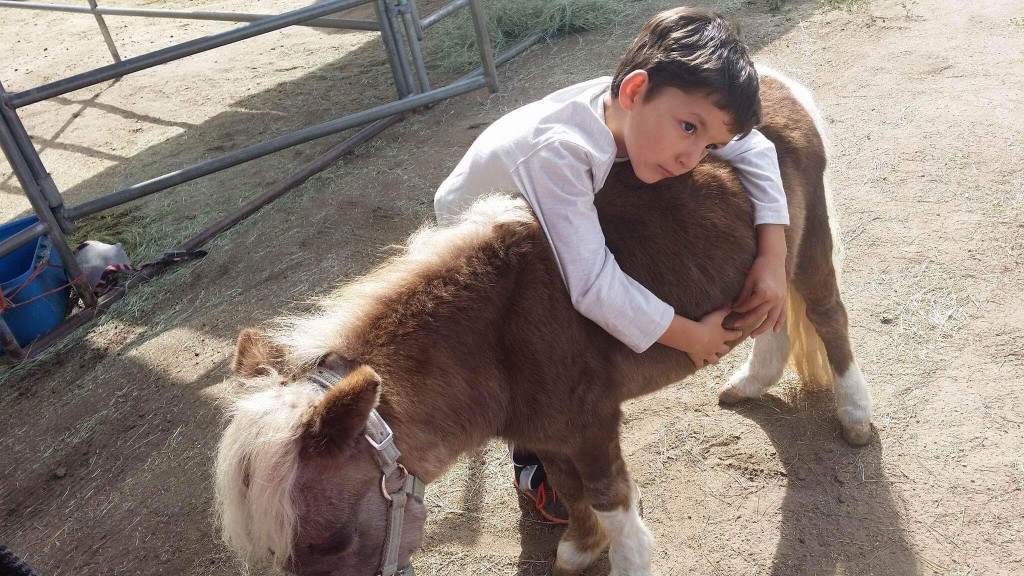 Medical Marijuana And Autism: ‘i’m Getting My Boy Back,’ Mom Says