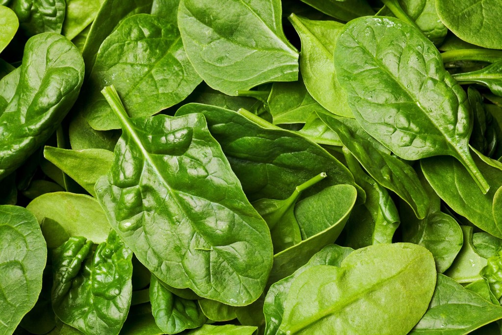 Fda Probes Listeria Outbreak Tied To Fresh Express Salads