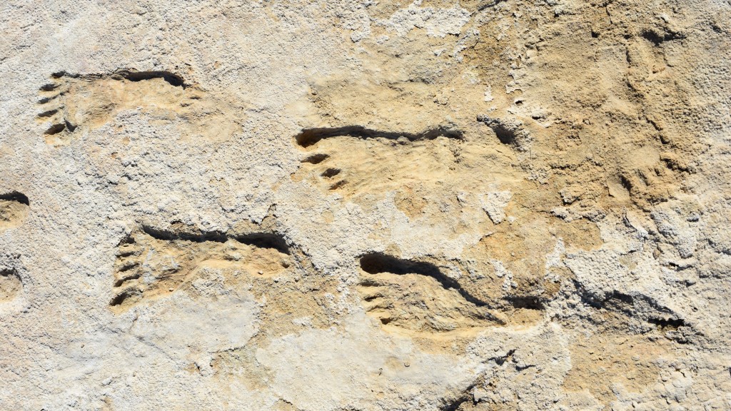 Ancient Human Discoveries Dominated 2021. Here’s What We Learned