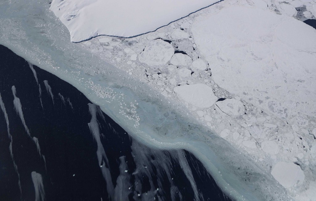 Scientists Warn A Critical Ice Shelf In Antarctica Could Shatter Within The Next Five Years