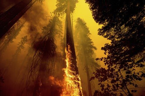 2021’s Climate Disasters Showed East West Weather Divide, One Side Too Wet, The Other Dangerously Dry