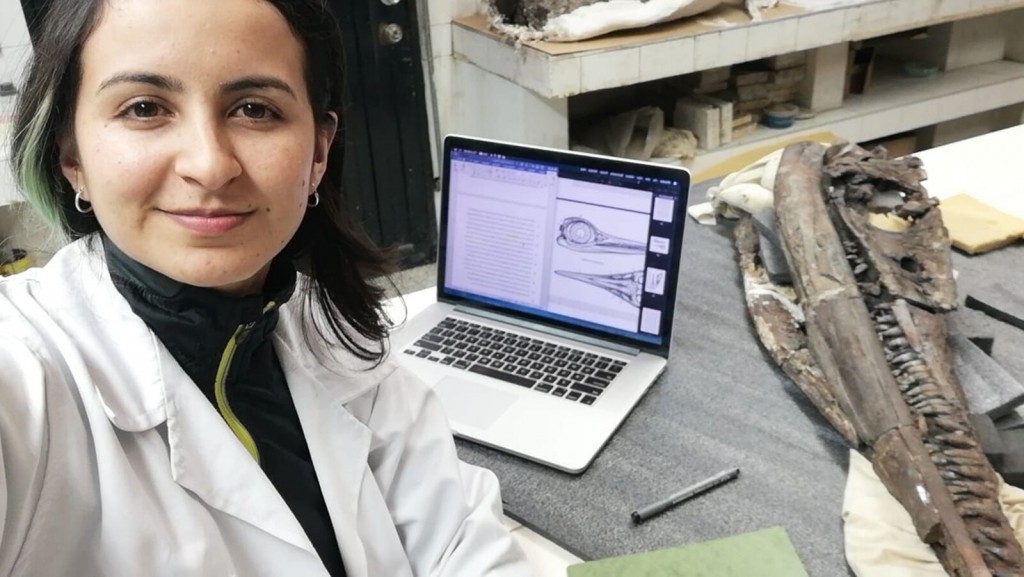A Ferocious Marine Reptile With Gnarly Teeth For Crushing Prey Was Discovered In Colombia