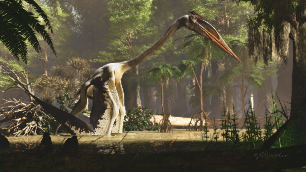 Colossal Winged Reptile Is The Largest Known Flying Animal Ever To Live On The Planet