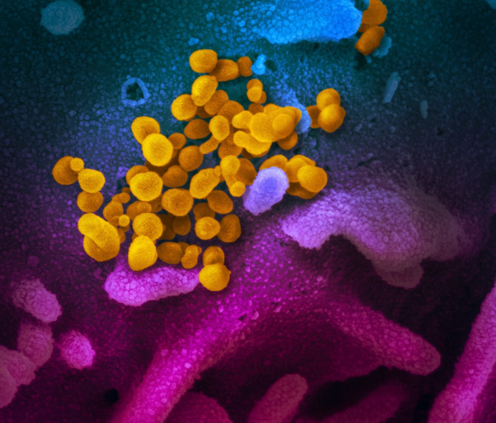 The Latest On The Coronavirus Pandemic And Omicron Variant