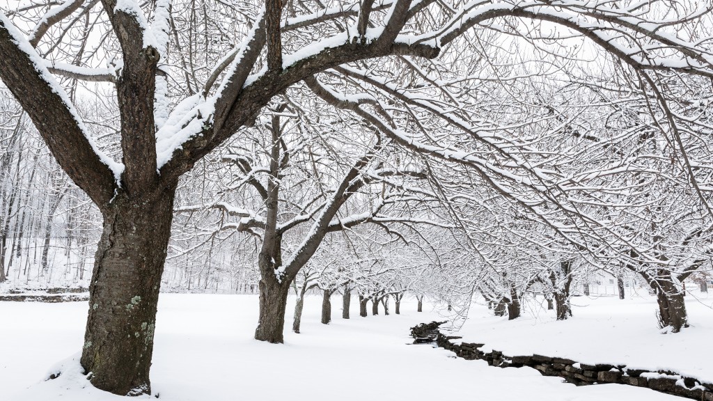 Winter’s Wisdom: In The Heart Of Darkness, There Is A Light