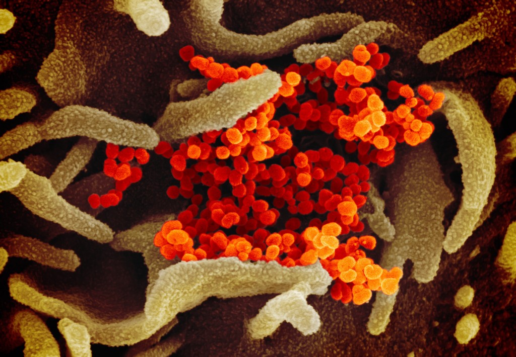 The Latest On The Omicron Coronavirus Variant