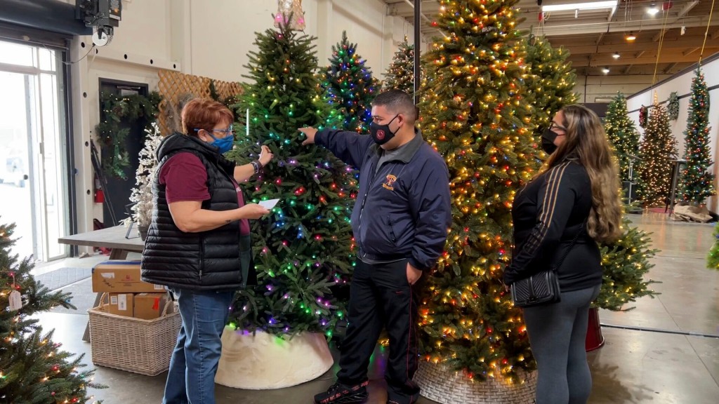 O Christmas Tree, Where Are You? Buyers Find Fewer Choices, Higher Prices