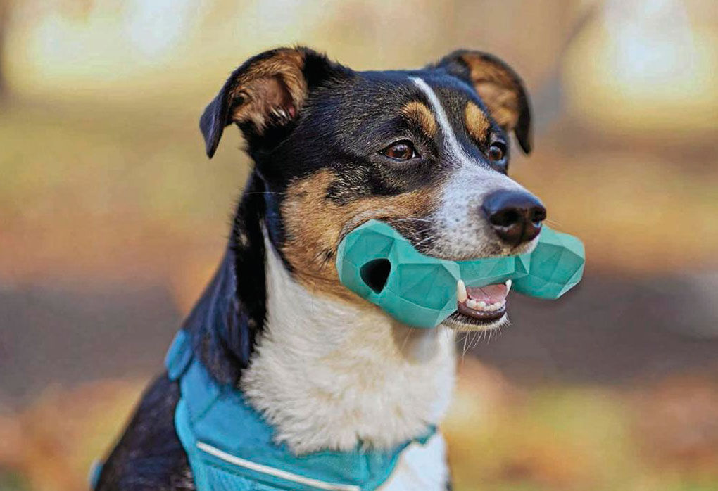 Give A Dog A Bone: Here Are Healthy Choices For Your Pup