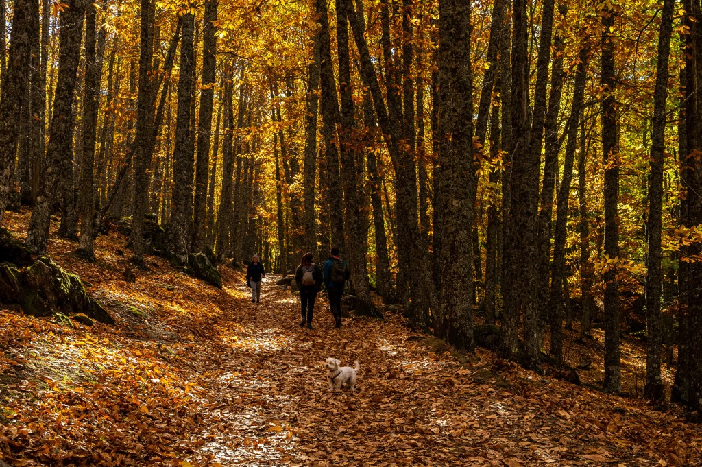 As Omicron Looms, Here Are 5 Ways To Ease Anxiety