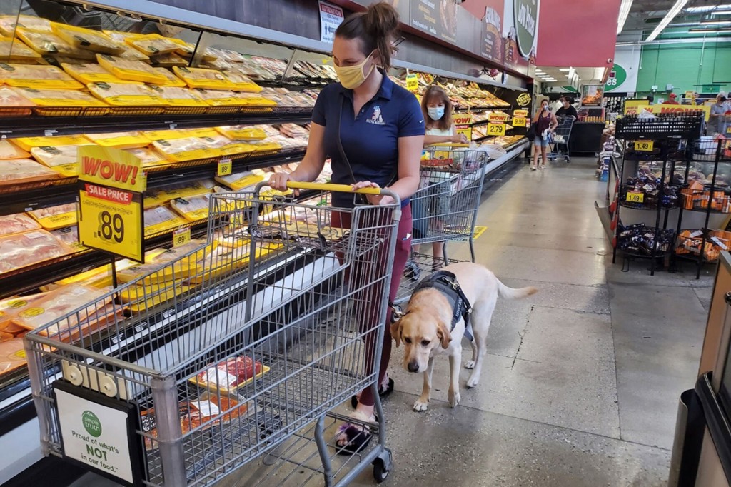 How Service Dogs Help Veterans With Ptsd