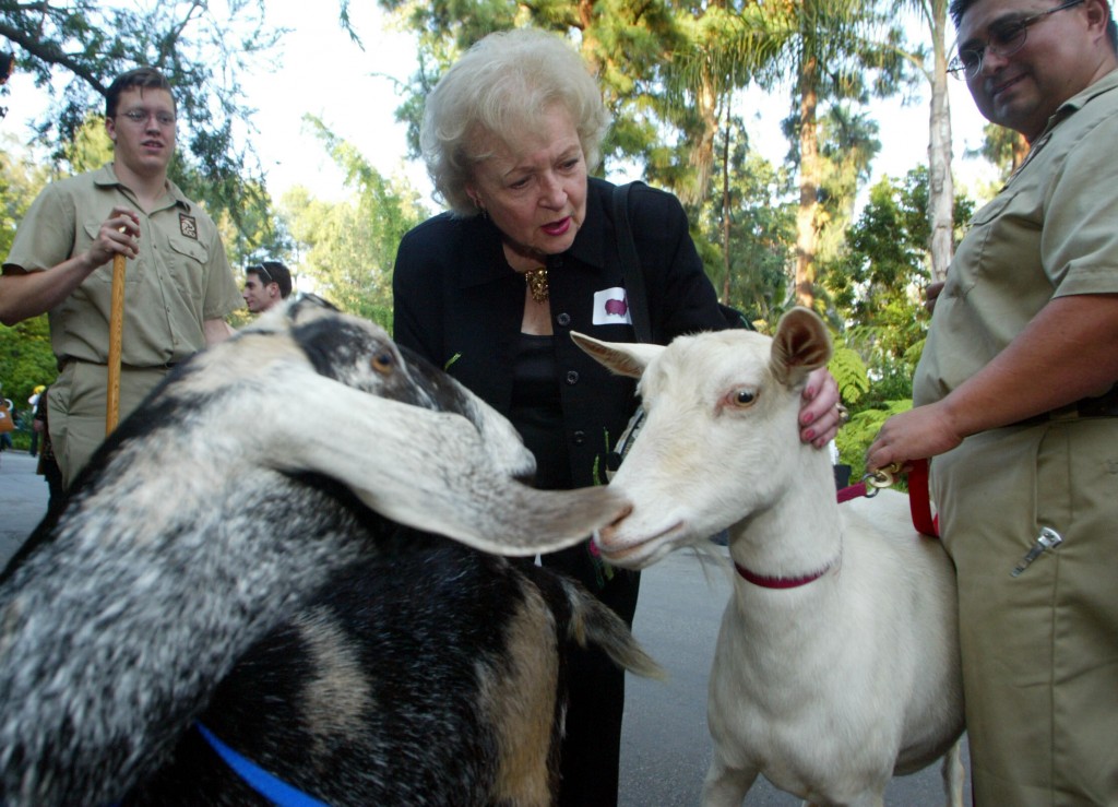 5 Ways To Celebrate Betty White On Her 100th Birthday