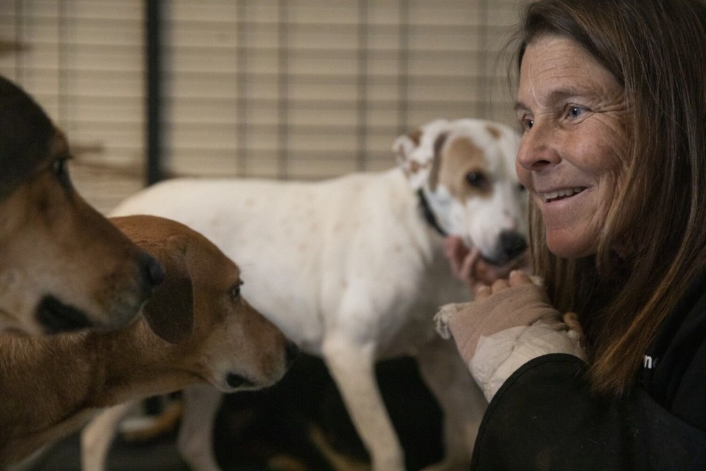 Pet Tracker’s Tips Have Helped Find Many Runaway Dogs