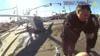 Dramatic Bodycam Video Shows Police Pull Pilot From Plane Seconds Before Train Crash