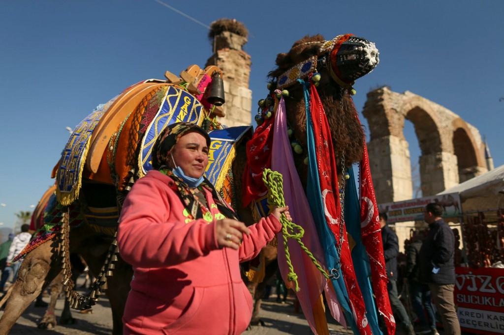 Photos: Bejeweled Camels Wrestle For Victory After Beauty Pageant In Turkey