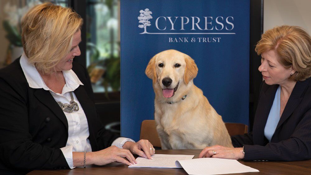 “paws Ing” To Plan: How You Can Ensure Your Pet’s Future Well Being With Pet Trust Planning