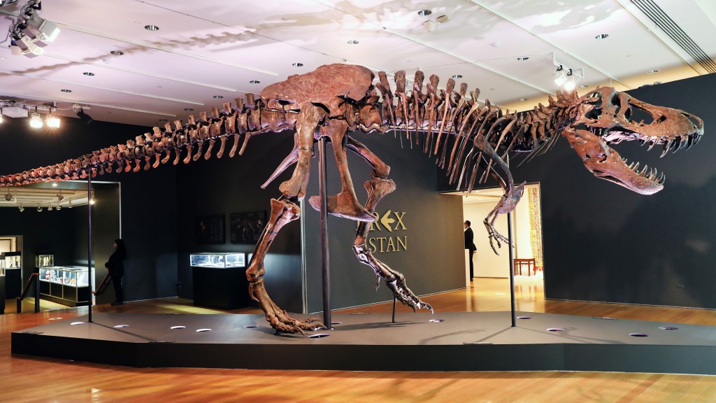 ‘the Rock’: Dwayne Johnson Says He Isn’t The Anonymous Buyer Of T Rex Skull