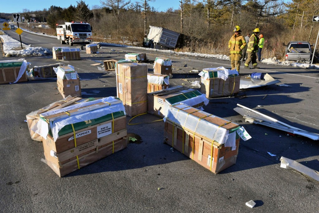 Truck With 100 Monkeys Crashes In Pennsylvania, Plus More Weird News
