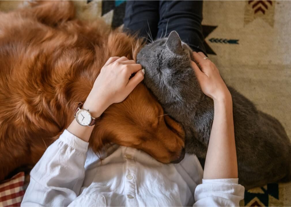 How Different Generations Treat Their Pets