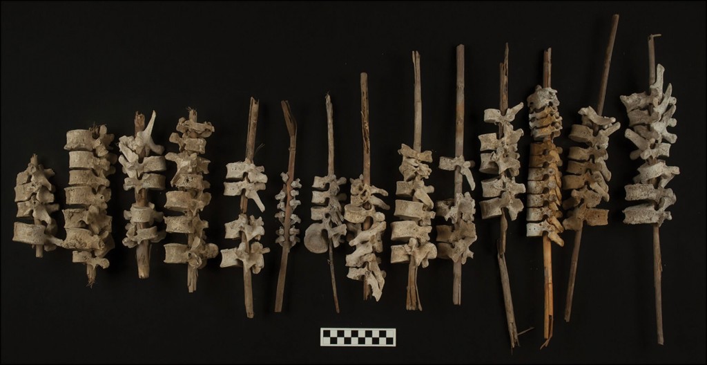 Nearly 200 Human Spines Found Threaded Onto Posts In Peru