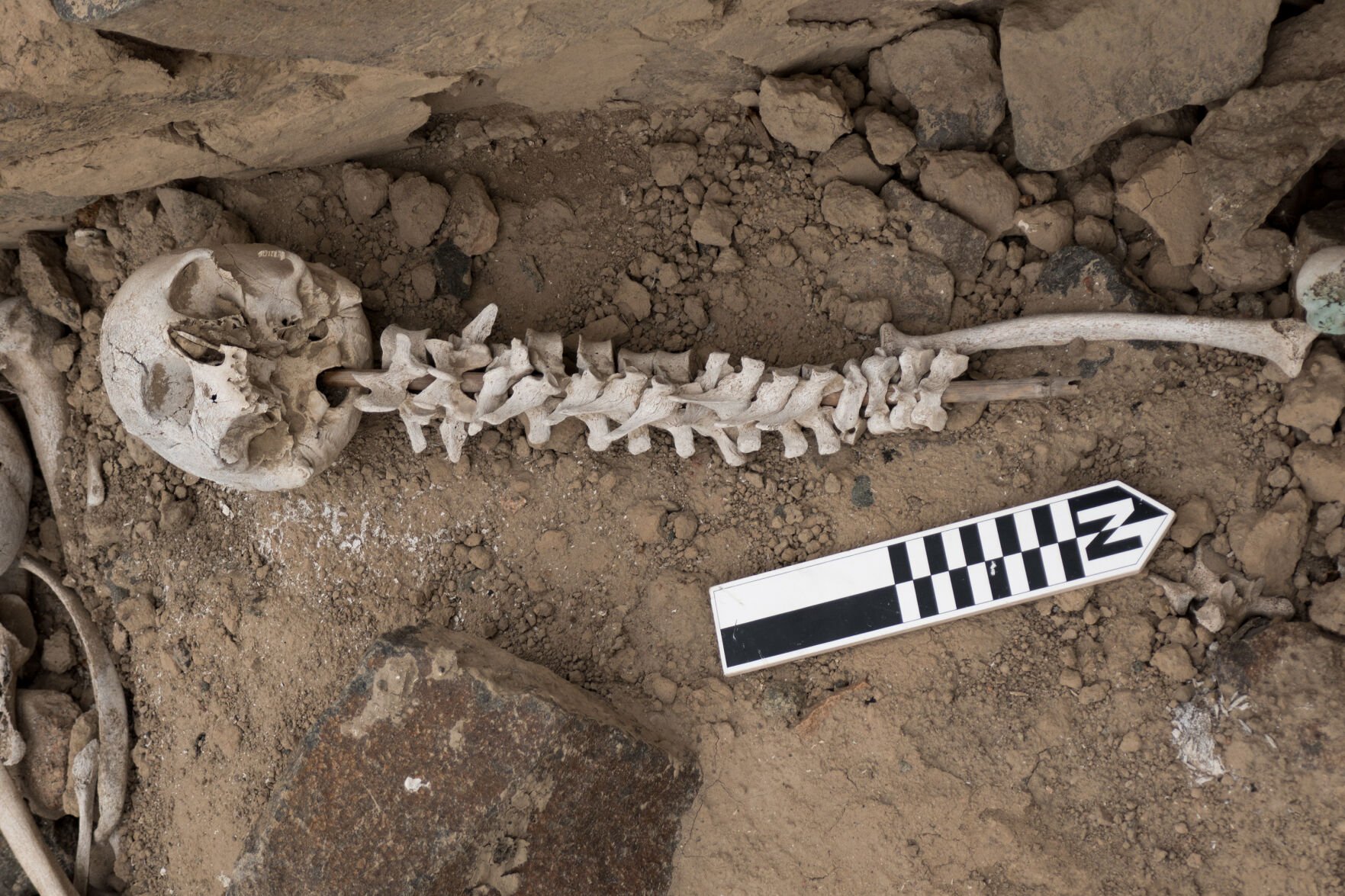 <p>A vertebrae-on-post was inserted into a cranium, as found within a "chullpa."</p>