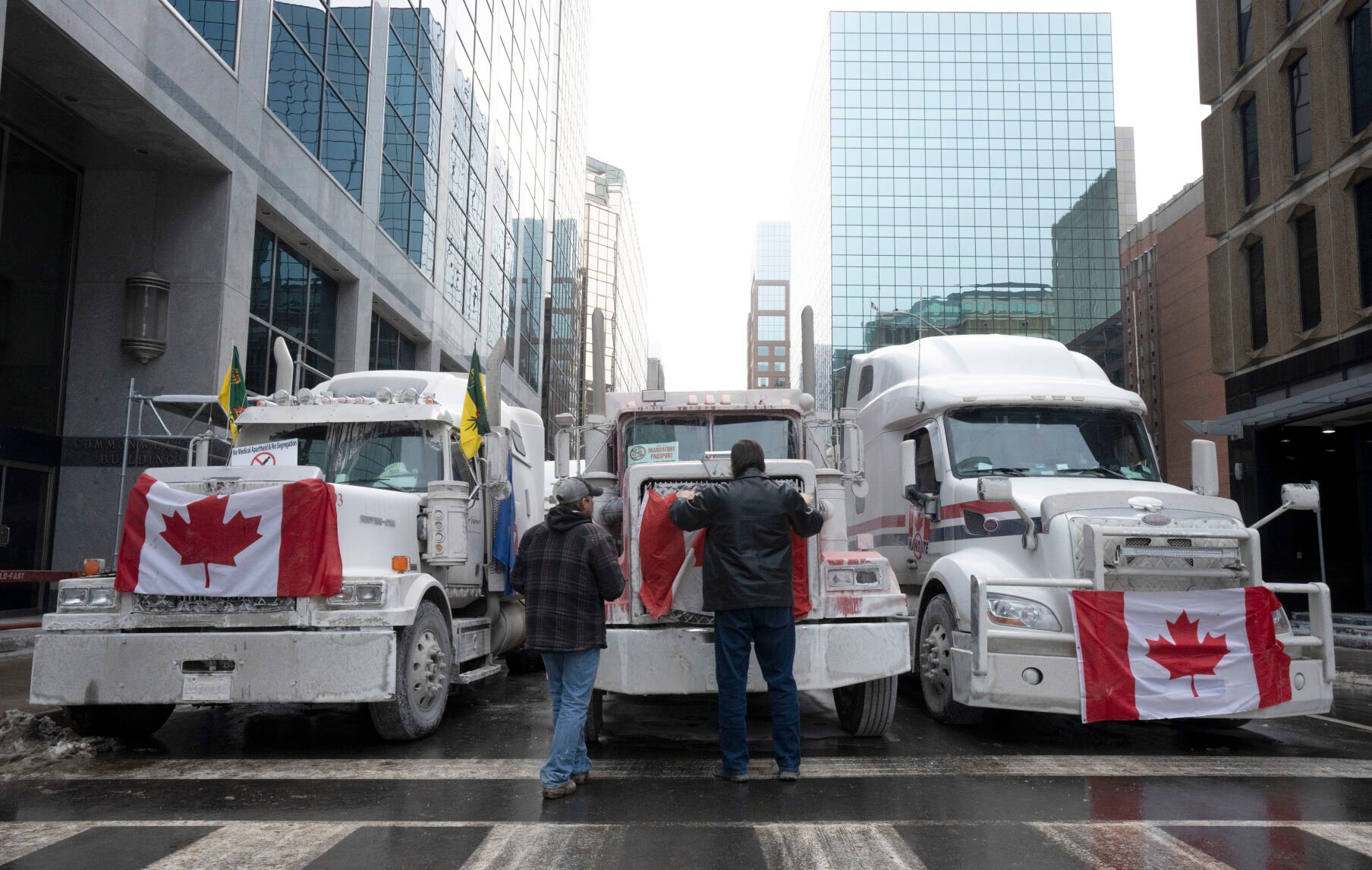 <p>FILE - Truck drivers hang a Canadian flag on the front grill of a truck parked in downtown Ottawa, Ontario, near Parliament Hill on Wednesday, Feb. 2, 2022. On Friday, Feb. 4, The Associated Press reported on stories circulating online incorrectly claiming law enforcement officials in Canada report over 100,000 trucks and millions of people showed up last weekend in Ottawa for a vaccine mandate protest. (Adrian Wyld/The Canadian Press via AP, File)</p>