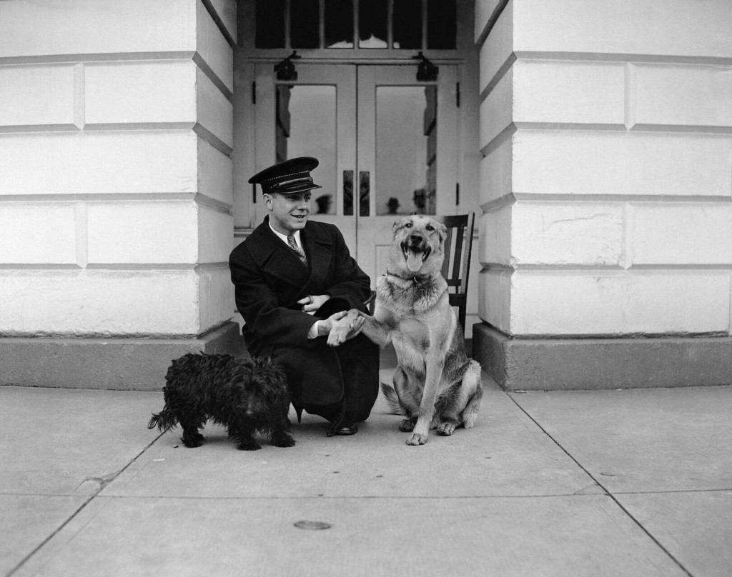 A Look Back At Presidential Pets Through The Years
