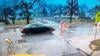 Video Captures Maryland Crossing Guard’s Heroic Act To Save Student