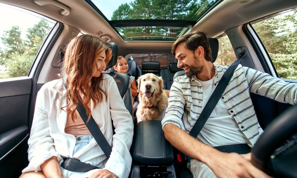 Encouraging Tripswithpets Survey Indicates 2022 Will Be A Year That Brings The Return Of ‘reluctant Travelers’