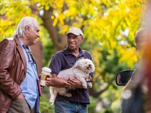 How The Presence Of Pets Builds Trust Among People
