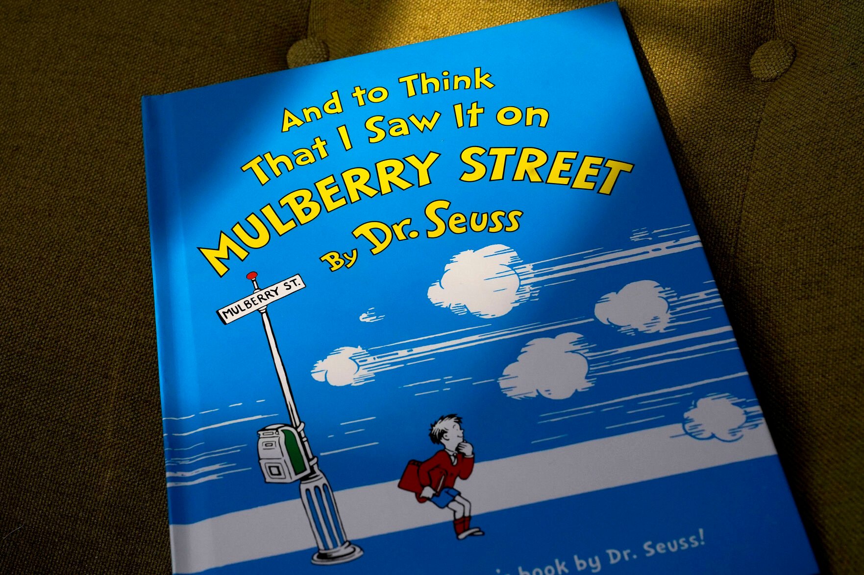 <p>FILE - A copy of the book "And to Think That I Saw It on Mulberry Street," by Dr. Seuss, rests in a chair, Monday, March 1, 2021, in Walpole, Mass. </p>