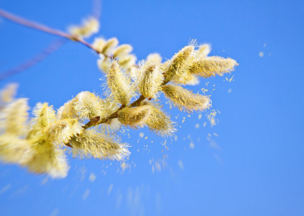 The Worst Months For 15 Common Allergies