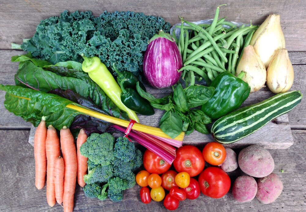 <p>Example of a CSA summer share. Photo courtesy of Wild Woods Farm.</p>