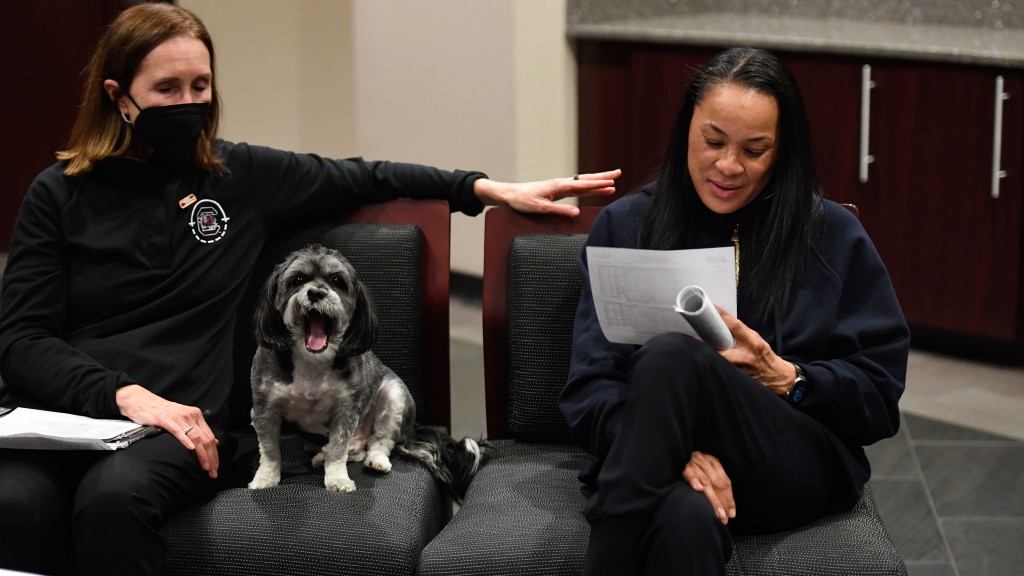Dawn Staley: Investing In Women’s Basketball From North Philly To South Carolina