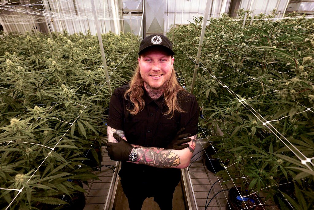 High From Hemp: States Across Us Wrestle With Chemically Made Thc